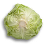 РАЙМА РЗ Ф1 — изображение 4