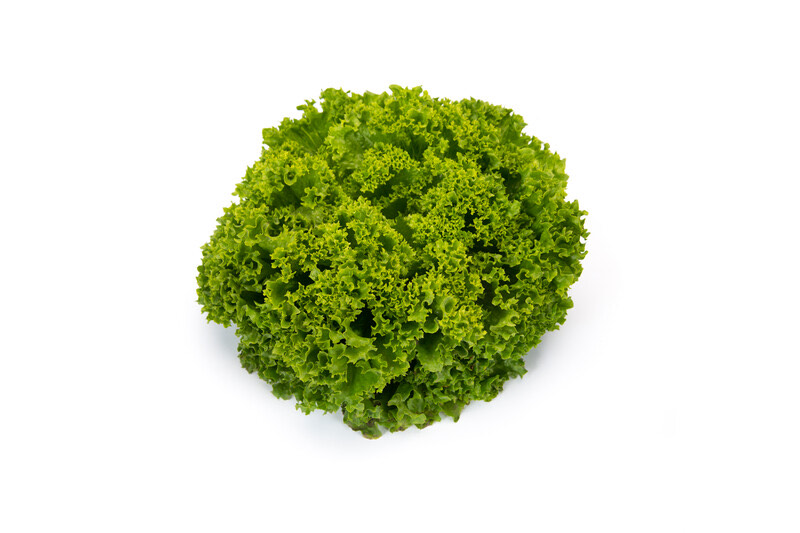 IMG_8537 ЛАНДАУ — изображение 1