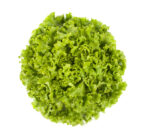 სალათი ფოთლოვანი აისბერგი LALIQUE RZ