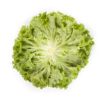 სალათი ფოთლოვანი აისბერგი LALIQUE RZ - Image 2