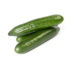 კიტრი MEWA RZ F1 - Image 2