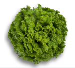 სალათი STARFIGHTER RZ